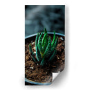 Planta Cebra - Gilbert2133  | Cuadro decorativo de Canvas Lab