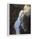 Cangrejo en las Rocas - Gilbert2133  | Cuadro decorativo de Canvas Lab