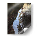 Cangrejo en las Rocas - Gilbert2133  | Cuadro decorativo de Canvas Lab