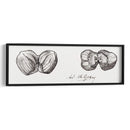 Bocetos de dos avellanas - I - Julie de Graag | Cuadro decorativo de Canvas Lab