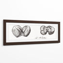 Bocetos de dos avellanas - I - Julie de Graag | Cuadro decorativo de Canvas Lab