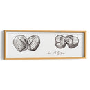 Bocetos de dos avellanas - I - Julie de Graag | Cuadro decorativo de Canvas Lab