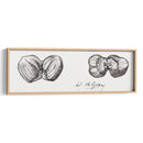 Bocetos de dos avellanas - I - Julie de Graag | Cuadro decorativo de Canvas Lab