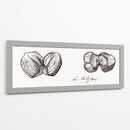 Bocetos de dos avellanas - I - Julie de Graag | Cuadro decorativo de Canvas Lab
