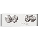 Bocetos de dos avellanas - I - Julie de Graag | Cuadro decorativo de Canvas Lab