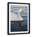 Reflejo de un Cisne - Wandering Pixels Co. | Cuadro decorativo de Canvas Lab