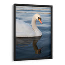 Reflejo de un Cisne - Wandering Pixels Co. | Cuadro decorativo de Canvas Lab