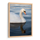 Reflejo de un Cisne - Wandering Pixels Co. | Cuadro decorativo de Canvas Lab