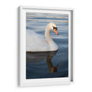 Reflejo de un Cisne - Wandering Pixels Co. | Cuadro decorativo de Canvas Lab