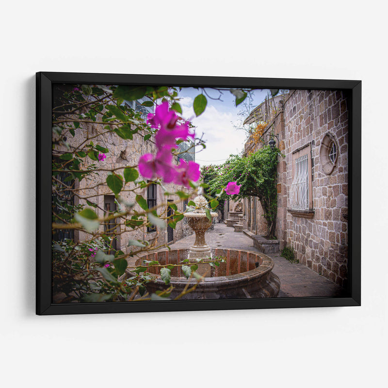 Callejón del Romance y Flor de Camelina. - Nosion | Cuadro decorativo de Canvas Lab
