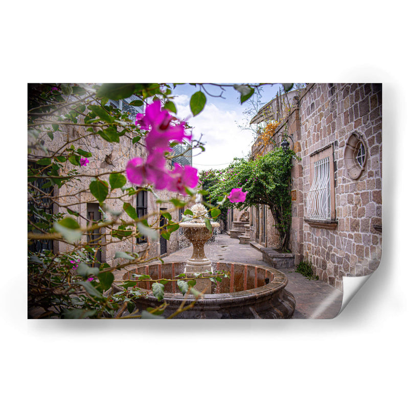 Callejón del Romance y Flor de Camelina. - Nosion | Cuadro decorativo de Canvas Lab