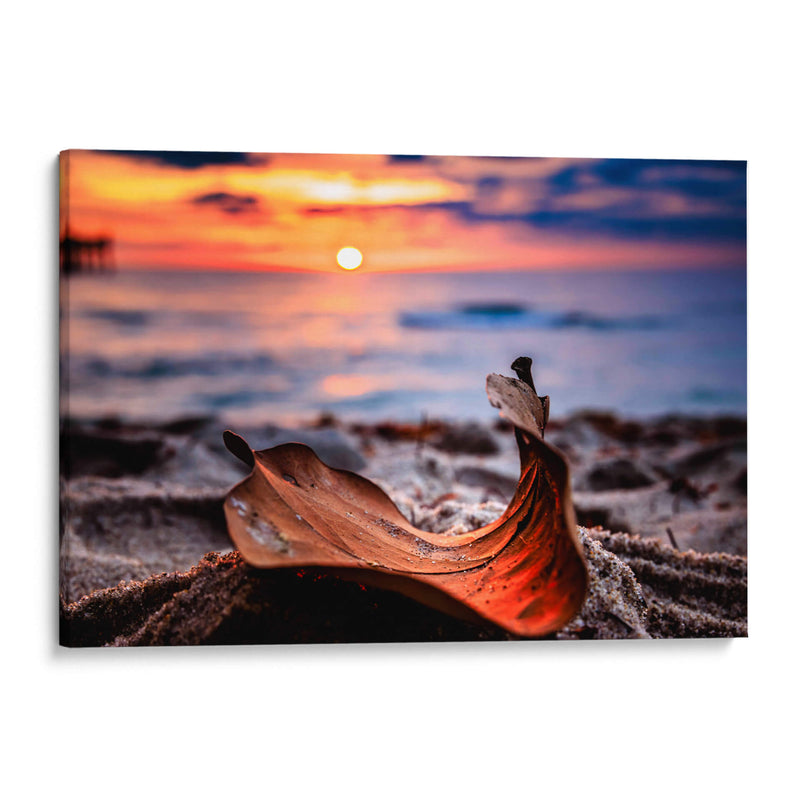 Naturaleza Muerta - Toño Chavez | Cuadro decorativo de Canvas Lab