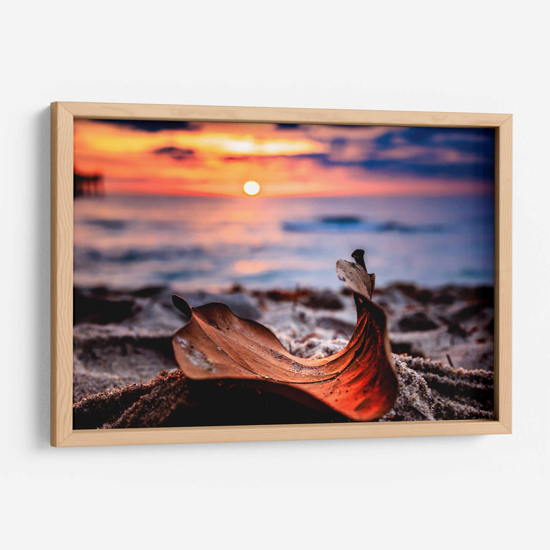 Naturaleza Muerta - Toño Chavez | Cuadro decorativo de Canvas Lab