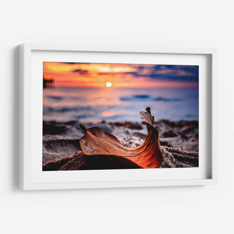 Naturaleza Muerta - Toño Chavez | Cuadro decorativo de Canvas Lab