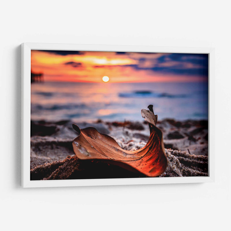 Naturaleza Muerta - Toño Chavez | Cuadro decorativo de Canvas Lab