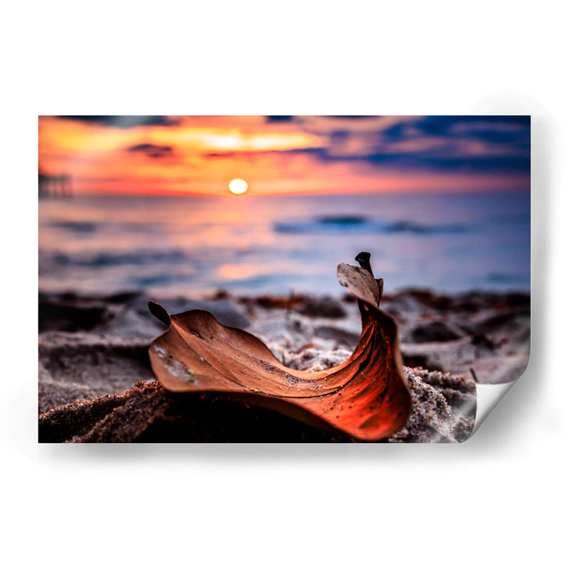 Naturaleza Muerta - Toño Chavez | Cuadro decorativo de Canvas Lab