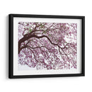 Árbol de jacaranda a contraluz, Chapultepec, CDMX - mem | Cuadro decorativo de Canvas Lab