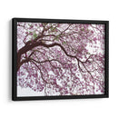 Árbol de jacaranda a contraluz, Chapultepec, CDMX - mem | Cuadro decorativo de Canvas Lab