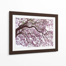 Árbol de jacaranda a contraluz, Chapultepec, CDMX - mem | Cuadro decorativo de Canvas Lab