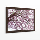 Árbol de jacaranda a contraluz, Chapultepec, CDMX - mem | Cuadro decorativo de Canvas Lab