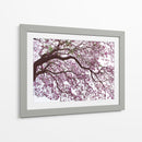 Árbol de jacaranda a contraluz, Chapultepec, CDMX - mem | Cuadro decorativo de Canvas Lab