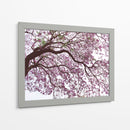 Árbol de jacaranda a contraluz, Chapultepec, CDMX - mem | Cuadro decorativo de Canvas Lab