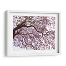 Árbol de jacaranda a contraluz, Chapultepec, CDMX - mem | Cuadro decorativo de Canvas Lab