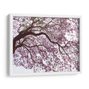 Árbol de jacaranda a contraluz, Chapultepec, CDMX - mem | Cuadro decorativo de Canvas Lab