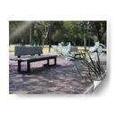 Flores y jacarandas en Chapultepec, CDMX - mem | Cuadro decorativo de Canvas Lab