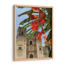Framboyán en Santo Domingo, Oaxaca, México - mem | Cuadro decorativo de Canvas Lab