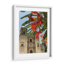 Framboyán en Santo Domingo, Oaxaca, México - mem | Cuadro decorativo de Canvas Lab