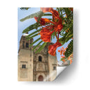 Framboyán en Santo Domingo, Oaxaca, México - mem | Cuadro decorativo de Canvas Lab