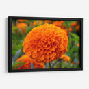 Flor de Cempasúchil.  - Nosion | Cuadro decorativo de Canvas Lab