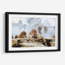 Babuinos en el vapor | Cuadro decorativo de Canvas Lab