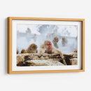 Babuinos en el vapor | Cuadro decorativo de Canvas Lab