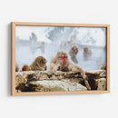 Babuinos en el vapor | Cuadro decorativo de Canvas Lab