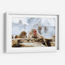 Babuinos en el vapor | Cuadro decorativo de Canvas Lab