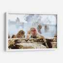 Babuinos en el vapor | Cuadro decorativo de Canvas Lab