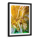 Entre pétalos y gotas - Toño Chavez | Cuadro decorativo de Canvas Lab