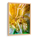 Entre pétalos y gotas - Toño Chavez | Cuadro decorativo de Canvas Lab