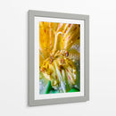 Entre pétalos y gotas - Toño Chavez | Cuadro decorativo de Canvas Lab