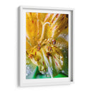 Entre pétalos y gotas - Toño Chavez | Cuadro decorativo de Canvas Lab