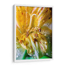 Entre pétalos y gotas - Toño Chavez | Cuadro decorativo de Canvas Lab