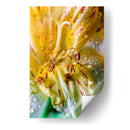 Entre pétalos y gotas - Toño Chavez | Cuadro decorativo de Canvas Lab