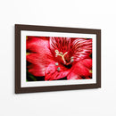 Astromelia Roja - Toño Chavez | Cuadro decorativo de Canvas Lab