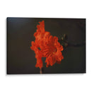 Magia del jardín de primavera - Ana Zagal  | Cuadro decorativo de Canvas Lab