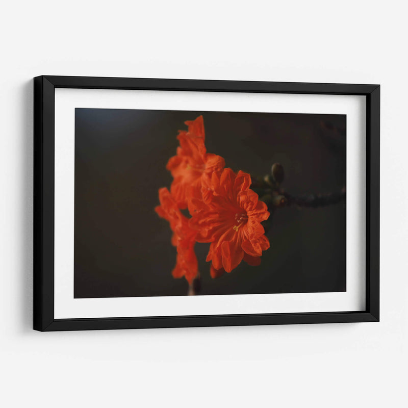 Magia del jardín de primavera - Ana Zagal  | Cuadro decorativo de Canvas Lab