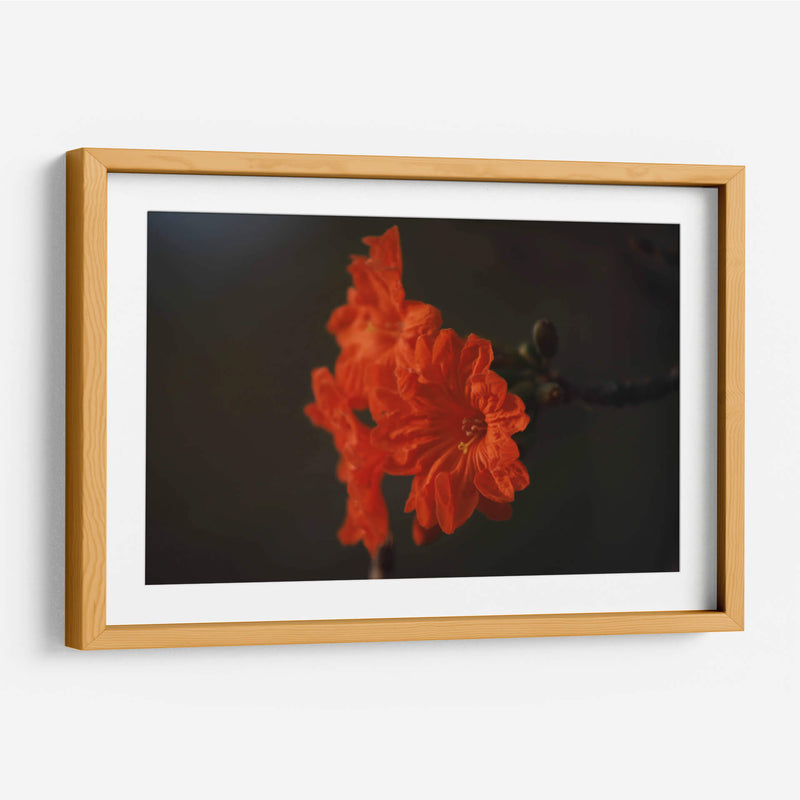 Magia del jardín de primavera - Ana Zagal  | Cuadro decorativo de Canvas Lab