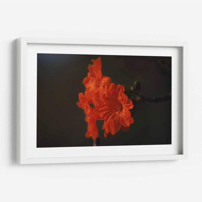 Magia del jardín de primavera - Ana Zagal  | Cuadro decorativo de Canvas Lab