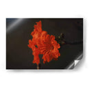 Magia del jardín de primavera - Ana Zagal  | Cuadro decorativo de Canvas Lab